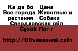 Ка де бо › Цена ­ 25 - Все города Животные и растения » Собаки   . Свердловская обл.,Сухой Лог г.